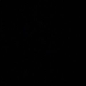 Meet your Posher, Cole